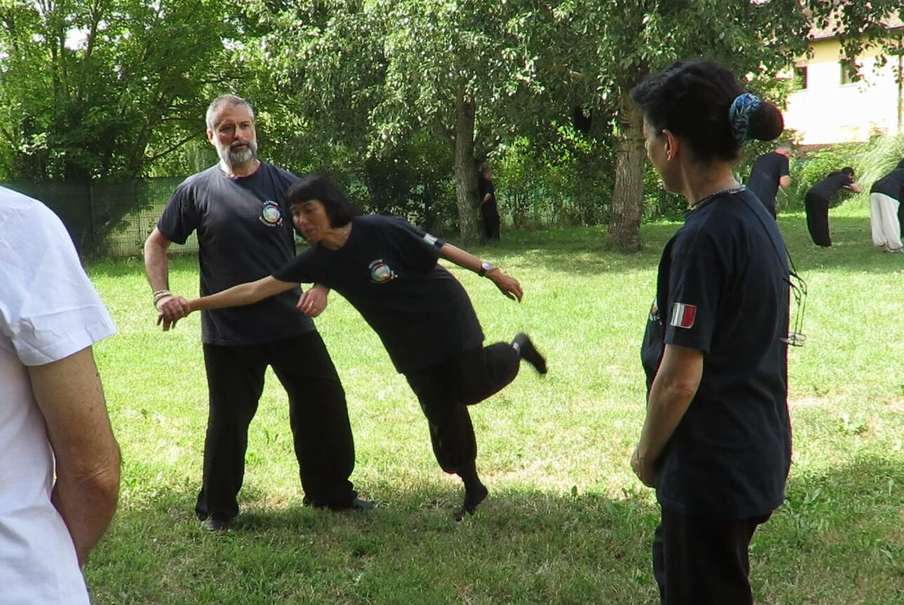 Tai Chi Chuan Arte Marziale Tai Chi Chuan Arte Marziale